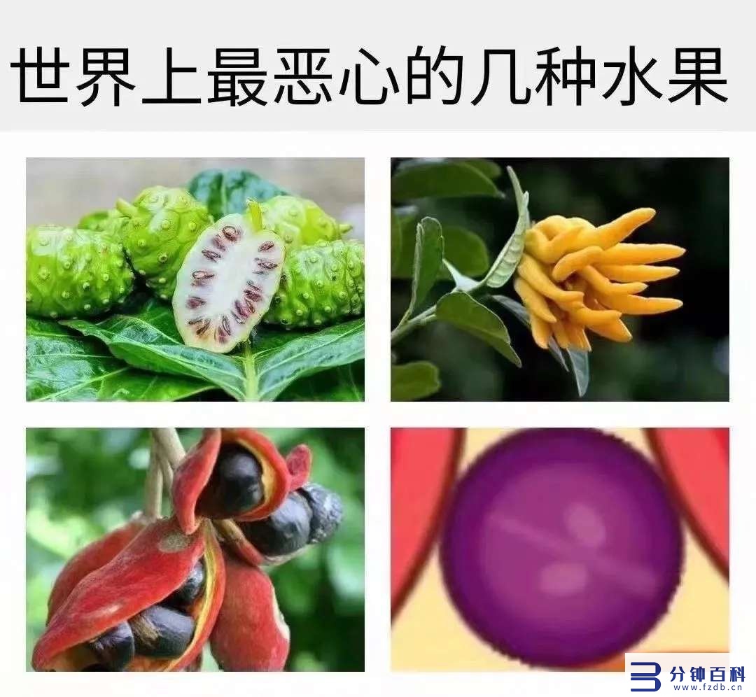 有一个专门吃瓜的网页是啥（哪些网站可以吃瓜）插图21